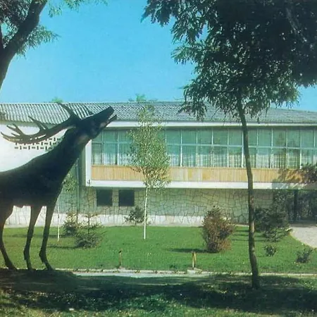 комфортен Diana в 4 звезди, град *