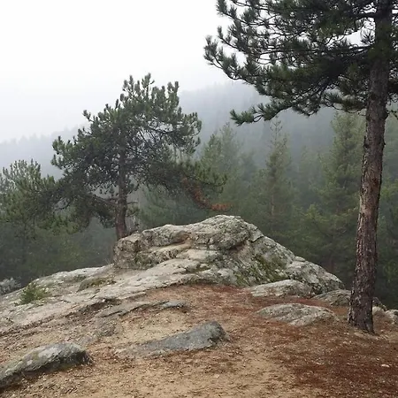 Apartmán комфортен Diana в 4 звезди, град Velingrad