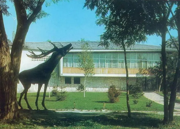 комфортен Diana в 4 звезди, град *