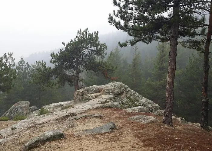 Daire комфортен Diana в 4 звезди, град Velingrad